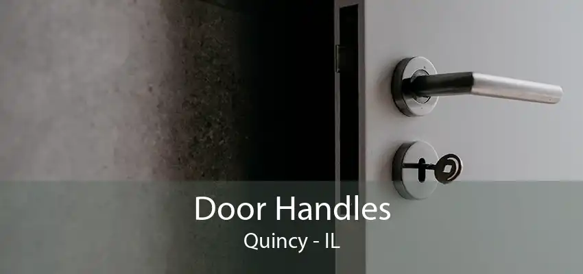 Door Handles Quincy - IL