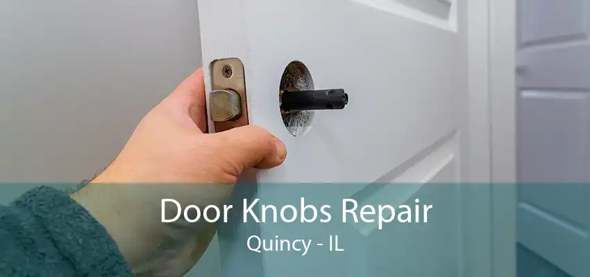 Door Knobs Repair Quincy - IL