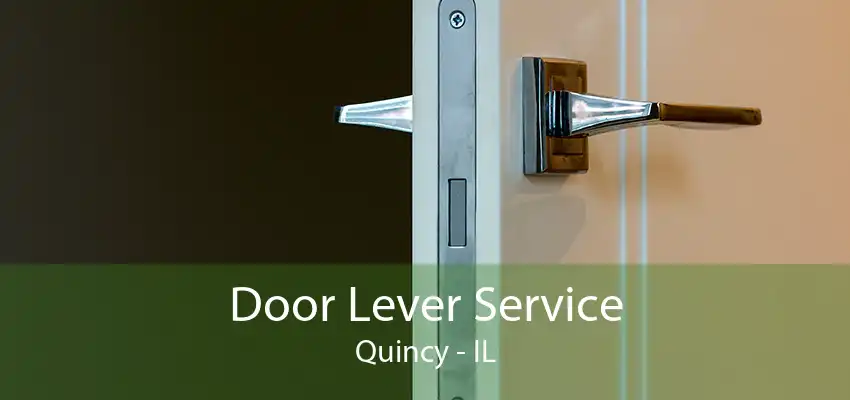 Door Lever Service Quincy - IL