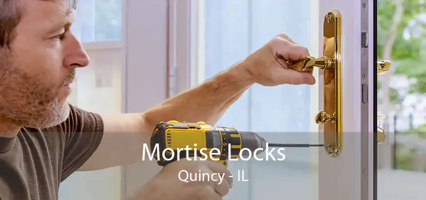 Mortise Locks Quincy - IL