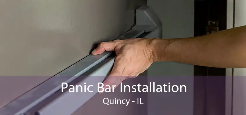 Panic Bar Installation Quincy - IL