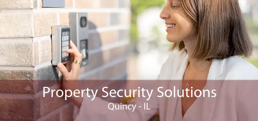 Property Security Solutions Quincy - IL