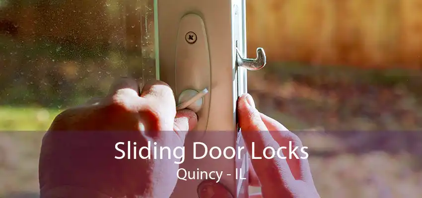 Sliding Door Locks Quincy - IL