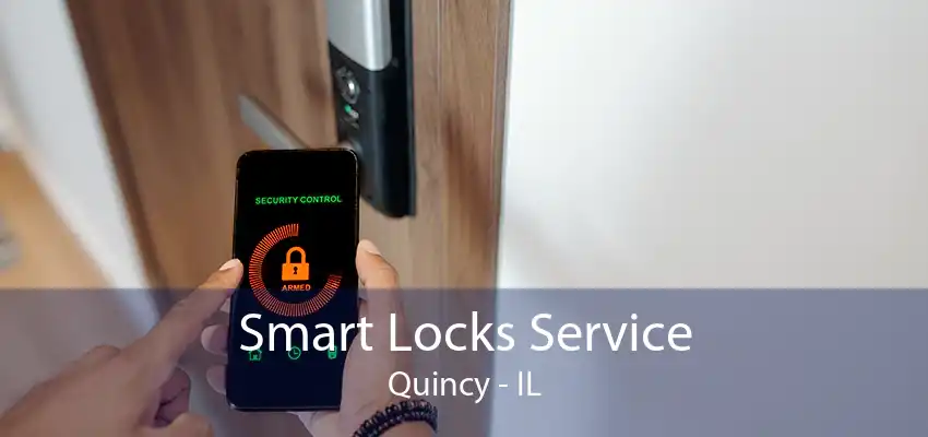 Smart Locks Service Quincy - IL